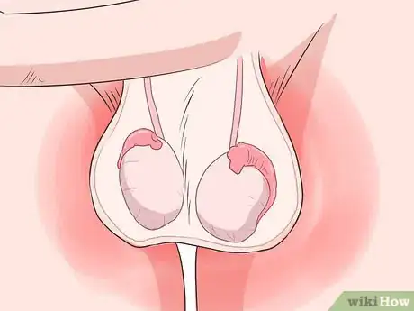 Image intitulée Recognize Chlamydia Symptoms (for Men) Step 4