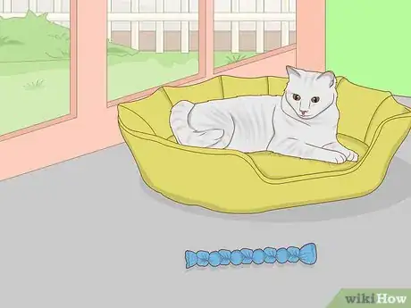Image intitulée Make Cat Toys out of Common Household Items Step 19