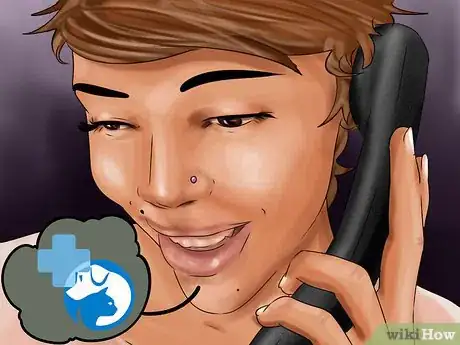 Image intitulée Help a Cat Recover from Anesthesia Step 11