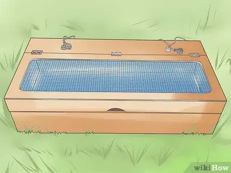Image intitulée Raise Ducks Step 11
