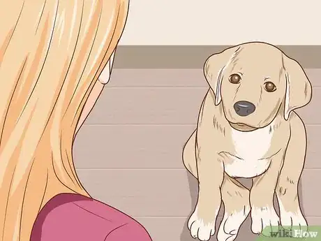 Image intitulée Communicate With Your Dog Step 2
