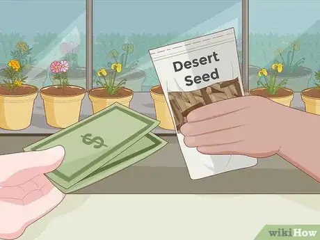 Image intitulée Plant Desert Rose Seeds Step 1