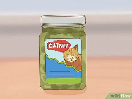 Image intitulée Change an Outdoor Cat Into an Indoor Cat Step 9