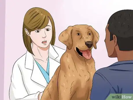 Image intitulée Get Your Dog to Eat Dry Food Step 1