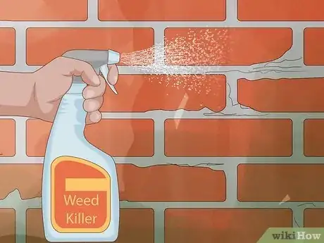 Image intitulée Remove an Ivy Plant Step 19
