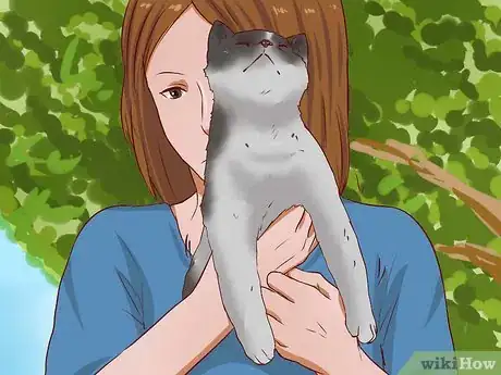 Image intitulée Get a Cat out of a Tree Step 16