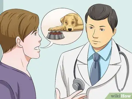 Image intitulée Get Your Dog to Eat Dry Food Step 2