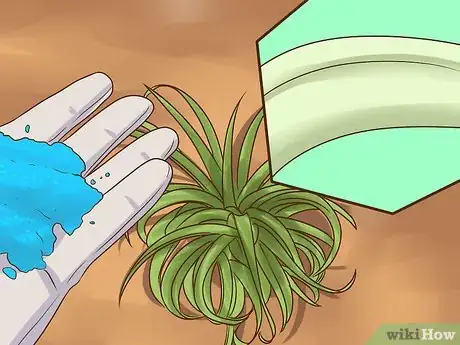 Image intitulée Care for Air Plants Step 8