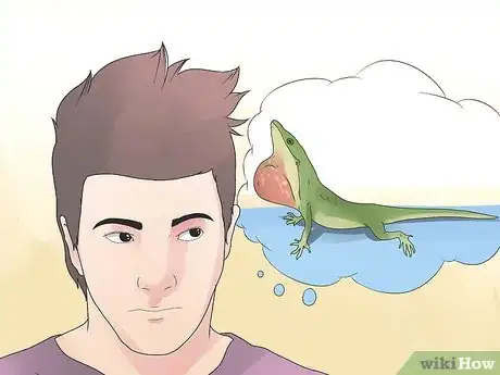 Image intitulée Care for Green Anole Lizards Step 3