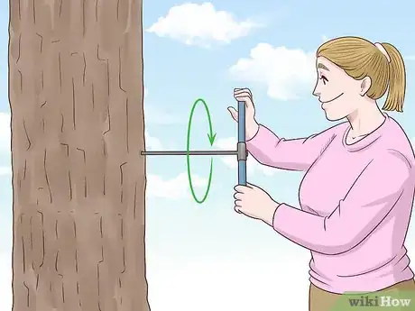Image intitulée Determine the Age of a Tree Step 16