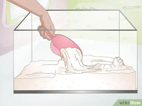 Image intitulée Raise Frogs Step 20