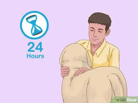 Image intitulée Care for a Dog After Spaying Step 5