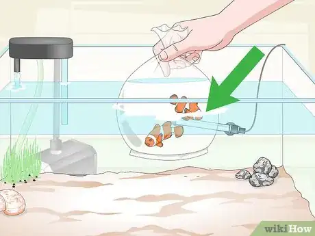 Image intitulée Cycle a Saltwater Tank Step 9