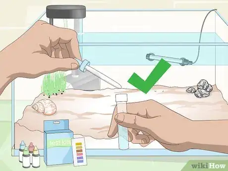 Image intitulée Cycle a Saltwater Tank Step 5