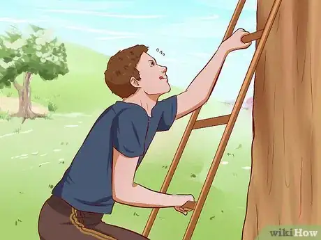 Image intitulée Get a Cat out of a Tree Step 12