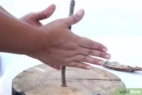 Image intitulée Make Fire Without Matches or a Lighter Step 28