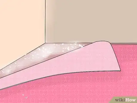 Image intitulée Apply Diatomaceous Earth to Carpet Step 10