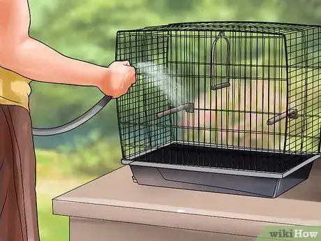 Image intitulée Care for a Lovebird Step 5