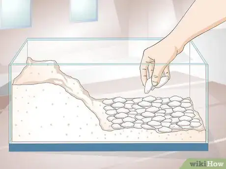 Image intitulée Care for Salamanders Step 4