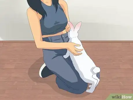 Image intitulée Pet a Rabbit Step 9