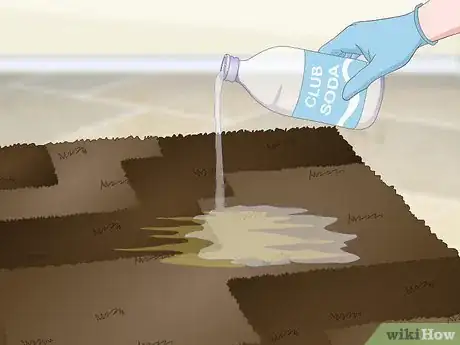 Image intitulée Get Dog Urine Smell out of Carpets Step 10