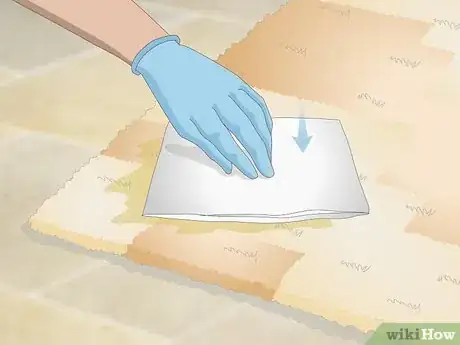 Image intitulée Get Dog Urine Smell out of Carpets Step 14