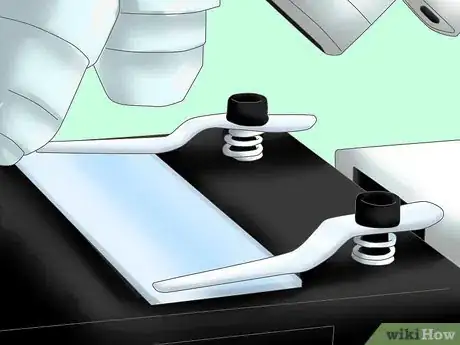 Image intitulée Tell the Difference Between Prokaryotes and Eukaryotes Step 2