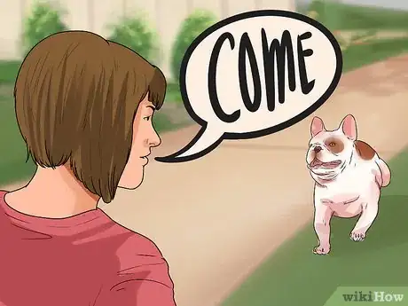 Image intitulée Train French Bulldogs Step 19