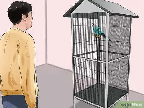 Image intitulée Stop a Budgie from Biting Step 6