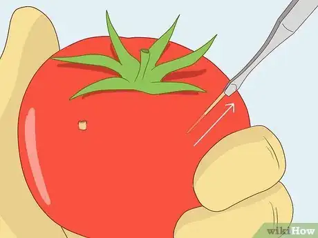 Image intitulée Practice Surgery Skills on Fruit Step 9