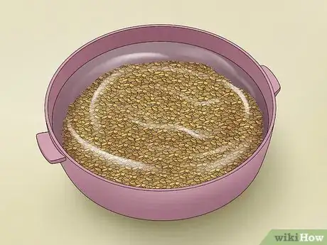 Image intitulée Use Fenugreek Seeds Step 1