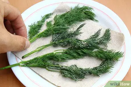 Image intitulée Dry Dill Step 20