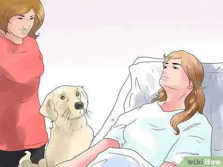 Image intitulée Bond With Your Dog Step 19