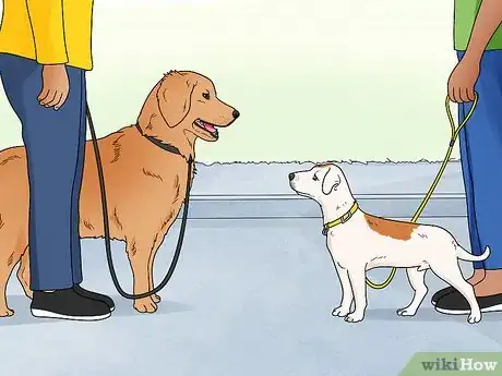 Image intitulée Stop Dogs from Barking at People Step 8