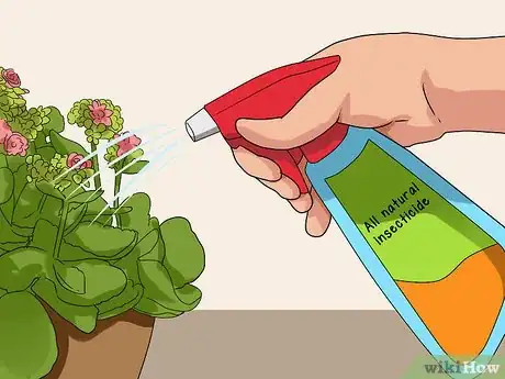 Image intitulée Grow Kalanchoe Step 14