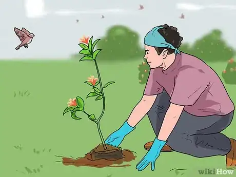 Image intitulée Help Endangered Animals Step 1