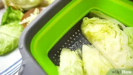 Image intitulée Freeze Cabbage Step 14