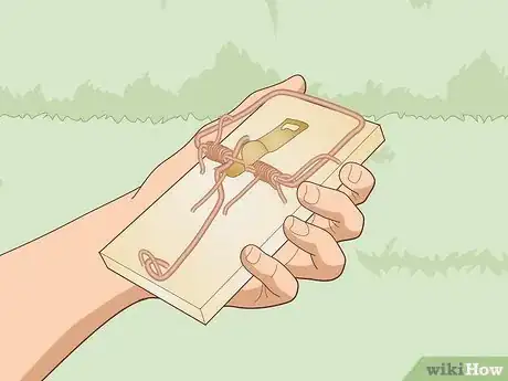 Image intitulée Trap a Backyard Bird Step 14
