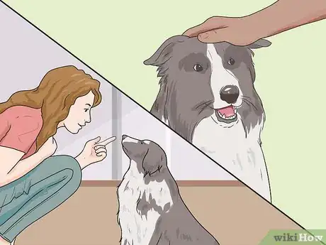 Image intitulée Train an Adult Dog Step 5