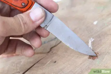 Image intitulée Make Fire Without Matches or a Lighter Step 37
