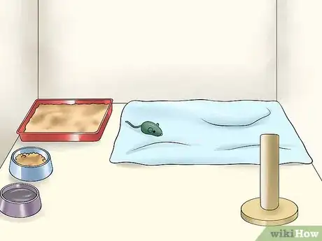 Image intitulée Separate Kittens from a Mother Cat for Adoption Step 14