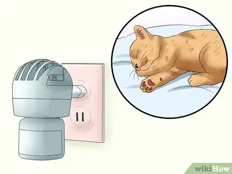 Image intitulée Separate Kittens from a Mother Cat for Adoption Step 19