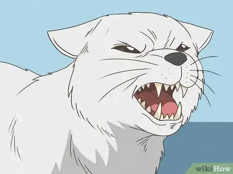 Image intitulée Know Your Cat's Age Step 7
