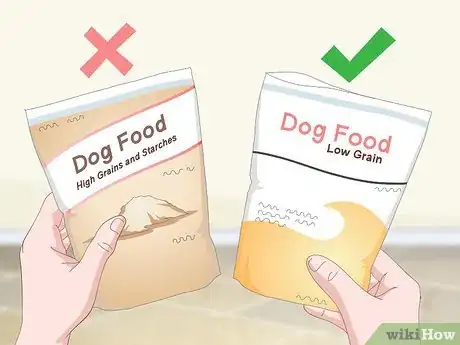 Image intitulée Treat Dog Ear Infections Naturally Step 10