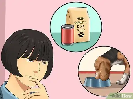Image intitulée Get Your Dog to Eat Dry Food Step 4
