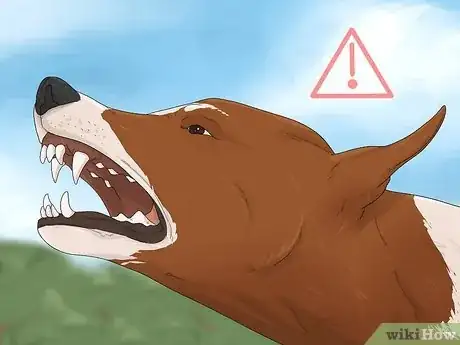 Image intitulée Handle a Dog Attack Step 13