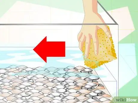 Image intitulée Fix Cloudy Aquarium Water Step 3