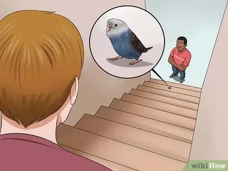 Image intitulée Play With Your Budgie Step 9