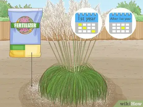Image intitulée Grow Pampas Grass Step 11