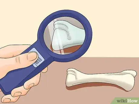 Image intitulée Tell Ivory from Bone Step 6